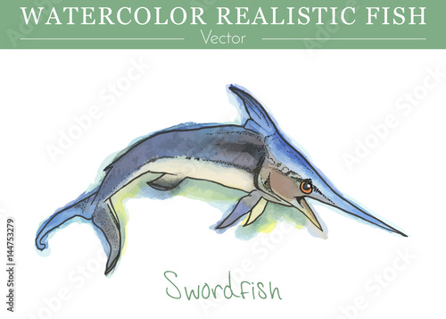 Hand painted watercolor fish isolated on white background. Swordfish, Xiphias gladius or broadbills. Predatory fish. Xiphiidae family fish. Colorful edible, salt water fish. Vector illustration.