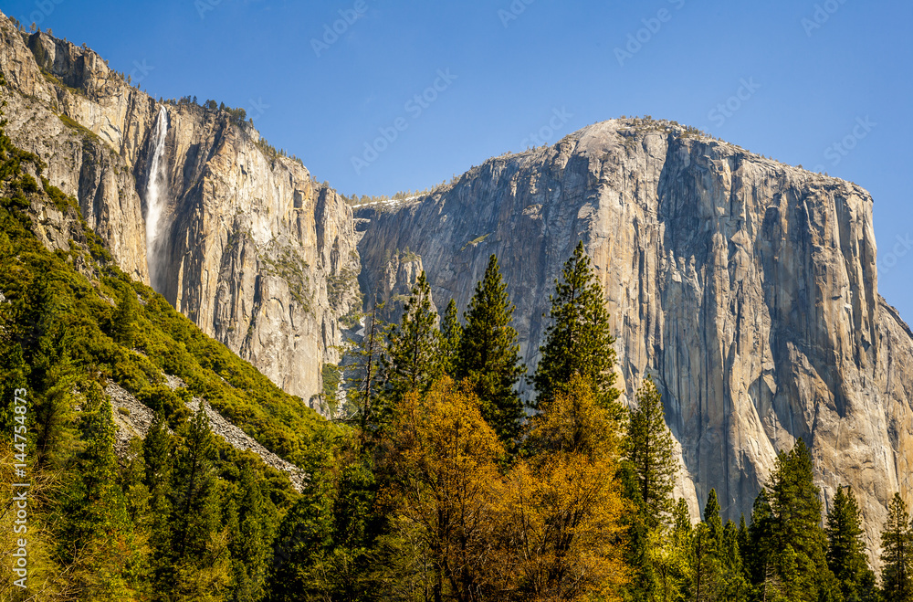 Mountain with trees and waterfall