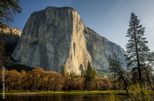 Fotografie Mountain at sunrise with trees