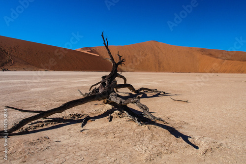 Namibia - Dead Vlei