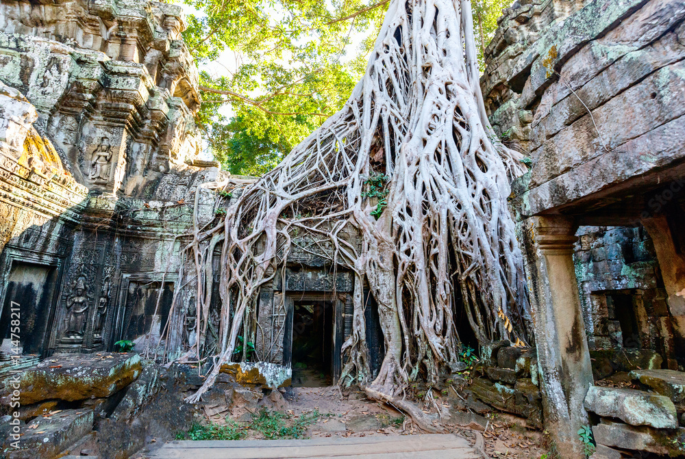 Ta Prohm temple Ta Prohm temple
