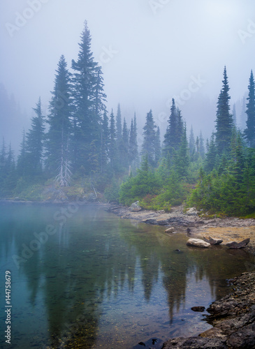 Trees reflected in lake in fog