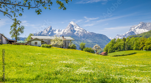 Fototapeta Naklejka Na Ścianę i Meble -  Idyllic summer landscape in the Alps with blooming meadows and farmhouse