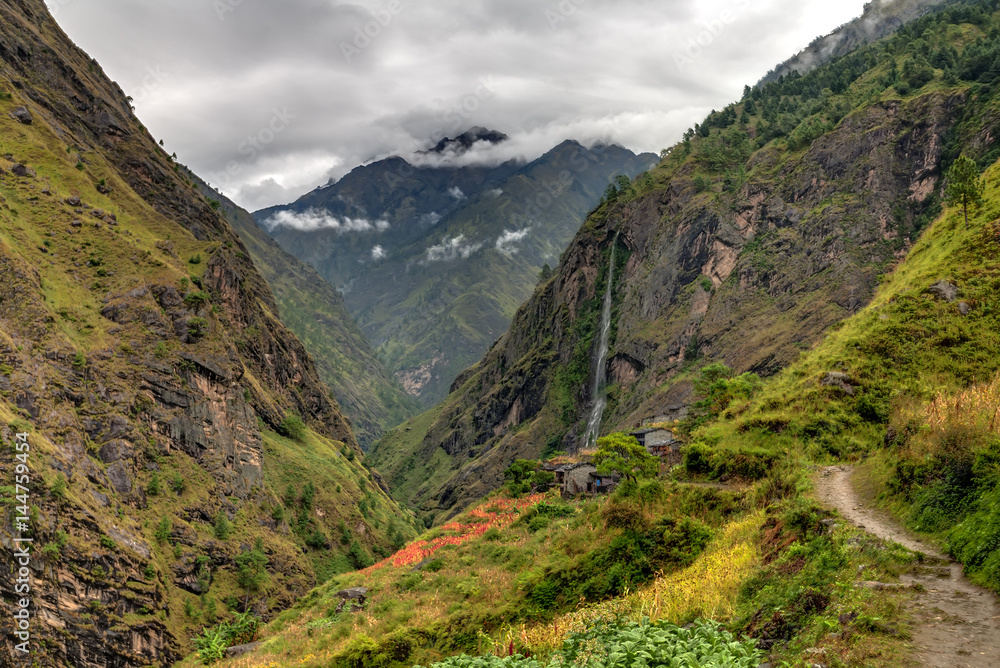 Fototapeta premium Green valley on Manaslu circuit in Himalaya mountains, Nepal