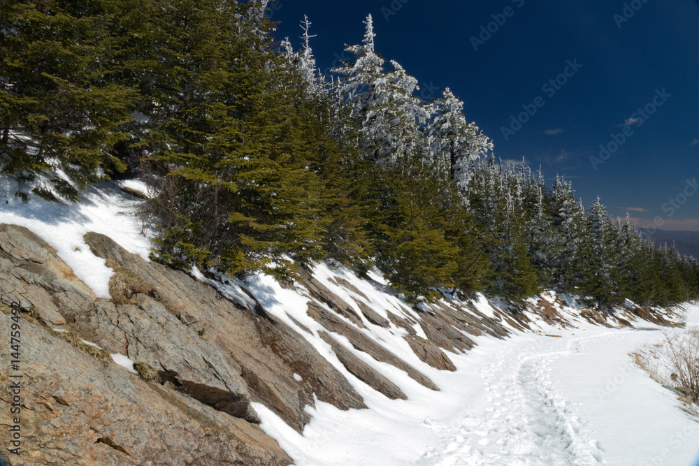 Snowy Mountaintrail along Snowcovered Evergreens and bright blue sky Snowy Mountaintrail along Snowcovered Evergreens and bright blue sky