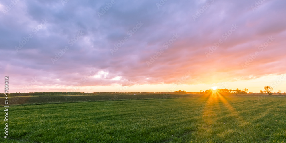 Fototapeta premium Sunrise in the field (light)