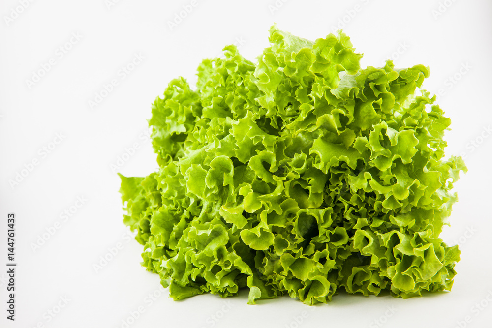 Romaine lettuce (Lactuca sativa) isolated in white background Romaine lettuce (Lactuca sativa) isolated in white background