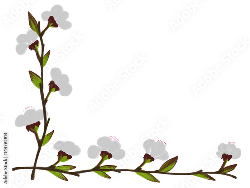 Wallpaper Mural Colorful cherry drawn  bright spring flower frame for greeting card on the white background, isolated illustration painted by oil color, high quality Torontodigital.ca