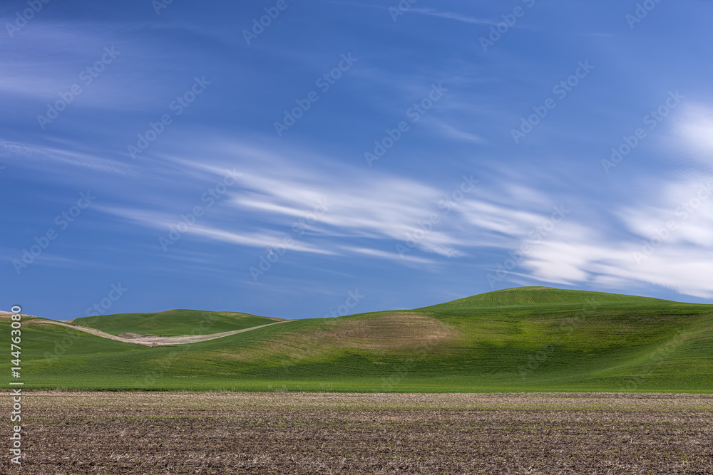 Rolling hills on the Palouse.