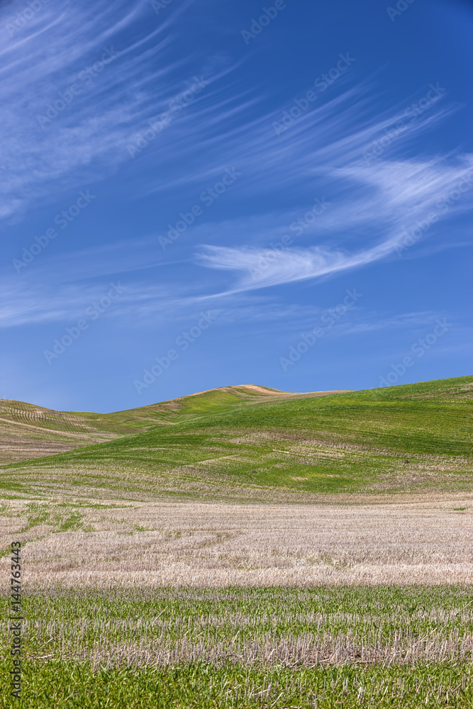 Green hills under a blue sky.