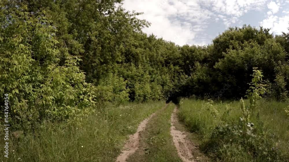 Riding on the rural road through the bushes - POV Riding on the rural road through the bushes - POV
