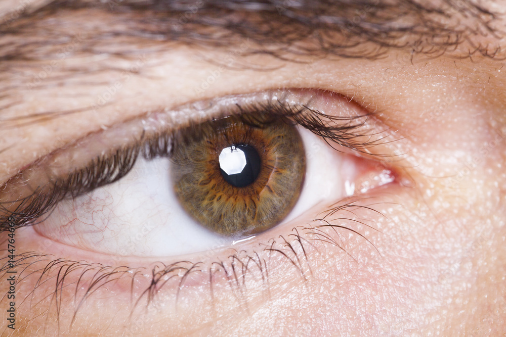 Obraz premium bakmak