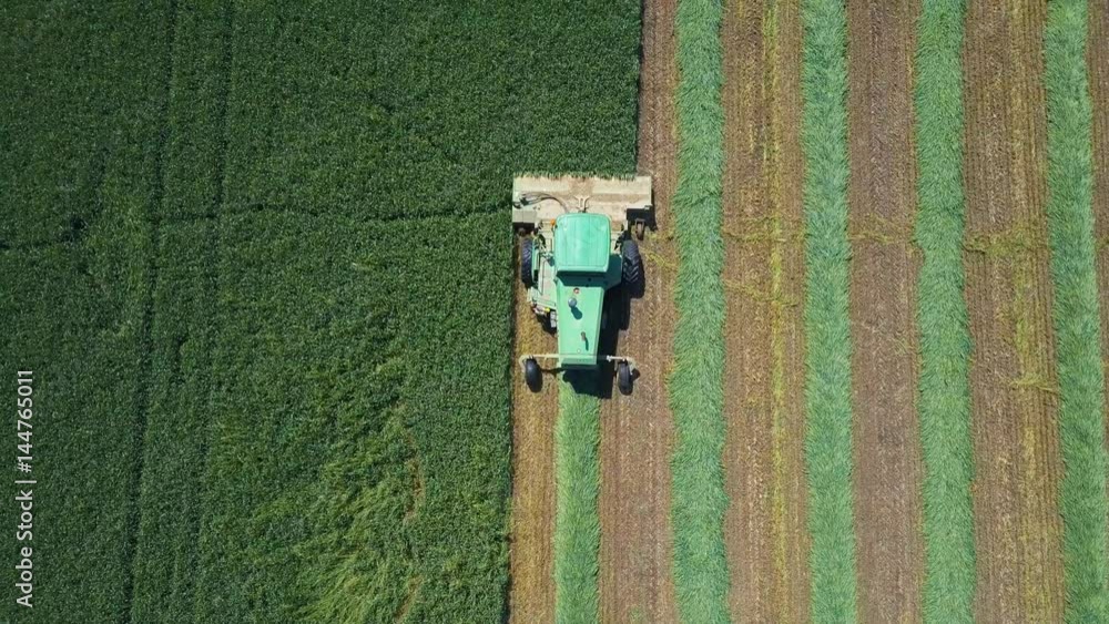Combine harvester in a green field - Top down Aerial footage Combine harvester in a green field - Top down Aerial footage