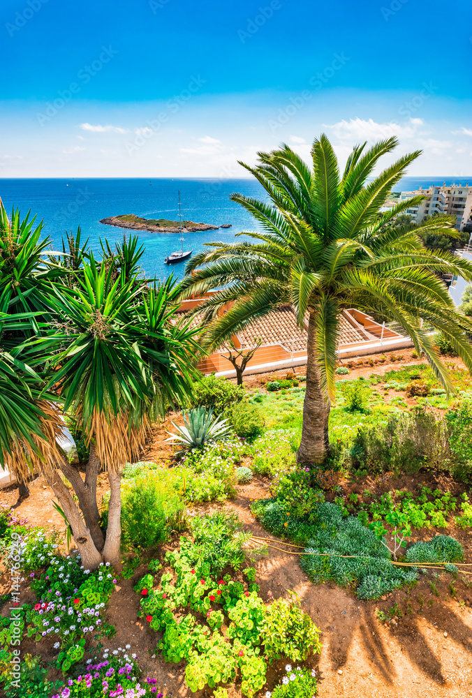 Idyllic view of the mediterranean coast with beautiful palm trees on Majorca island Spain 