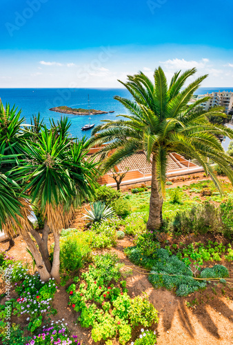 Fototapeta Naklejka Na Ścianę i Meble -  Idyllic view of the mediterranean coast with beautiful palm trees on Majorca island Spain 