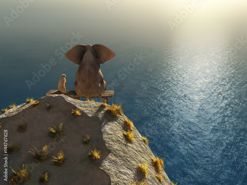 elephant and dog rest on a crag near the sea