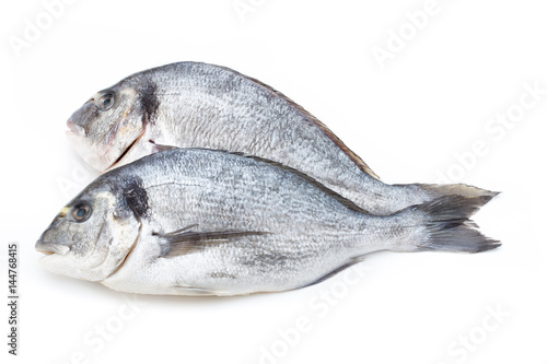 Quadro em tela Fresh bream sea isolated on white background.