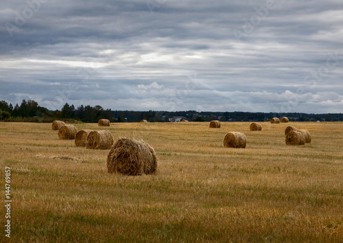 Haystacks. Russian field. Overcast. © Svetlana