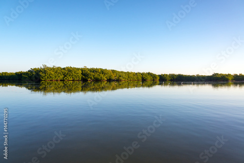 Rio Lagartos Mangrove Landscape