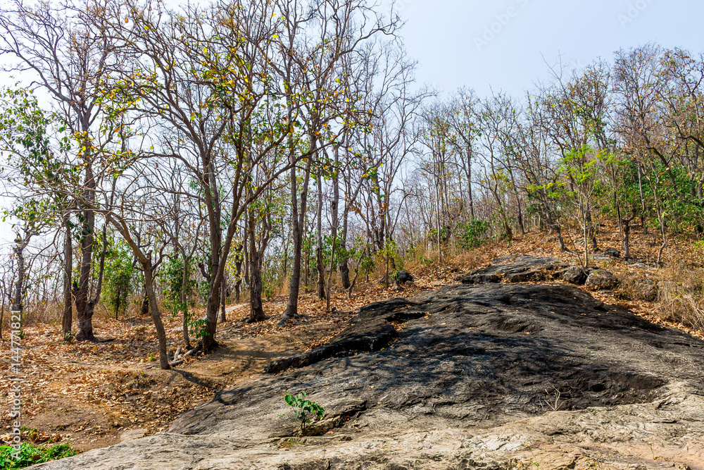 Fototapeta premium Hot season