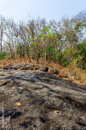 Huay Kaew Waterfall photo