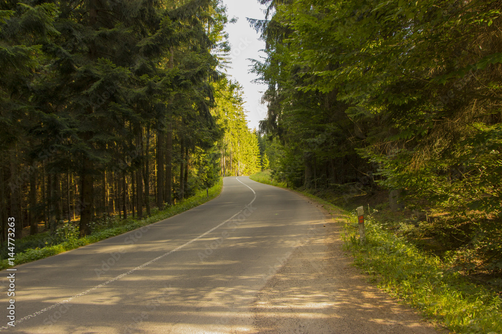 curve way of asphalt road through the green field