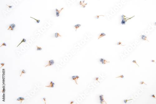 Frame of pale blue dried flowers on white background. Flat lay  top view
