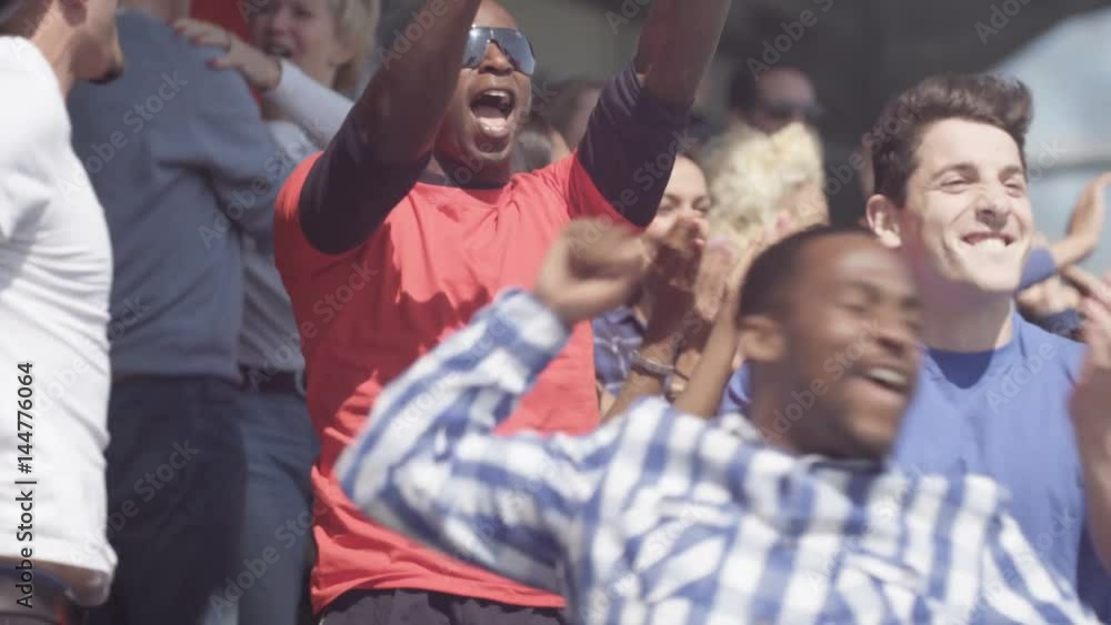 Sports crowd celebrating, watching the game & cheering