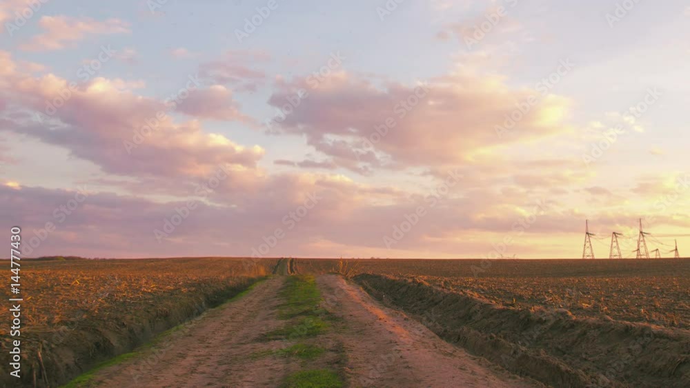 Beautiful landscape of meadow with road
