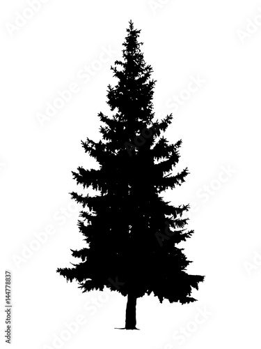 Silhouette of pine tree. Hand made.
