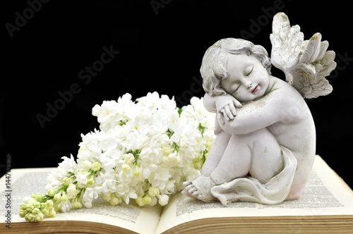 Angel and white spring flowers on the old book