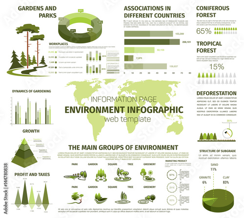 Vector infographic for forest and green nature