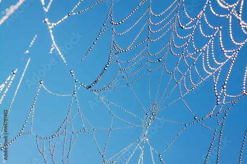 background from a web with dew drops