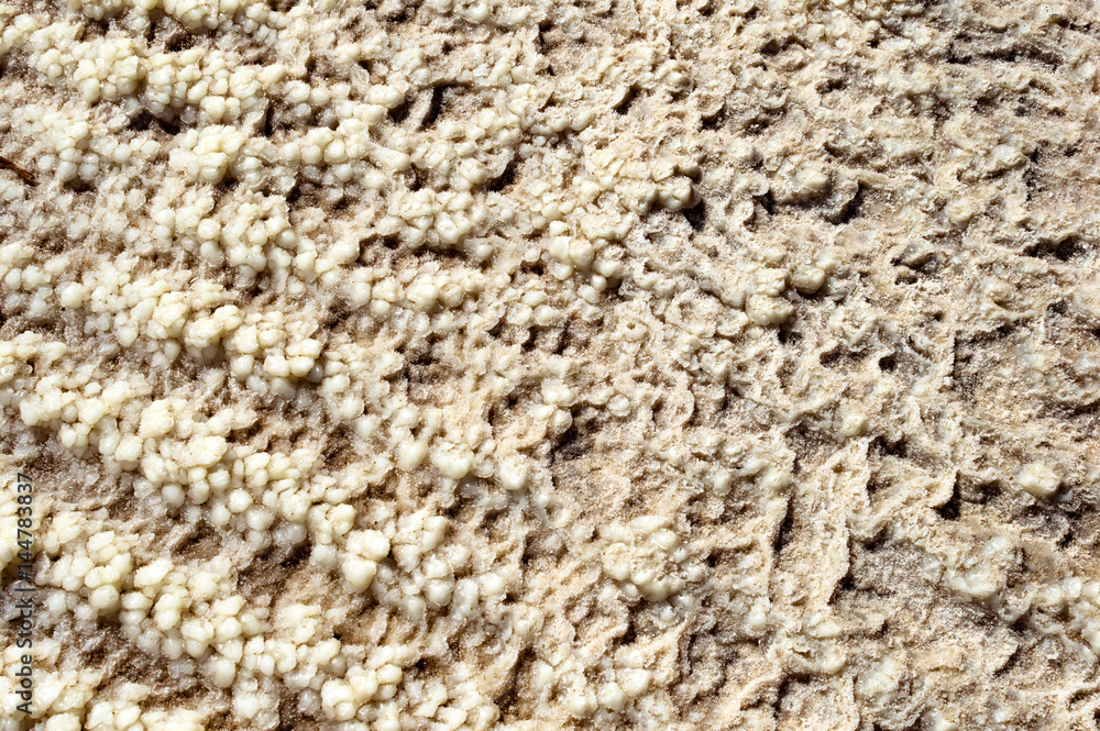 Texture - minerals and salts from the Dead Sea Texture - minerals and salts from the Dead Sea