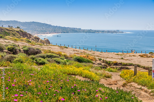 Canvas Print Sandstone cliffs at Torrey Pines gliderport are covered in wildflowers and offer
