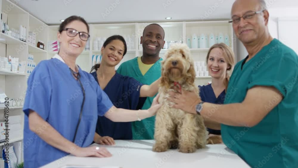 Portrait of smiling veterinarian team with cute dog in clinic Portrait of smiling veterinarian team with cute dog in clinic