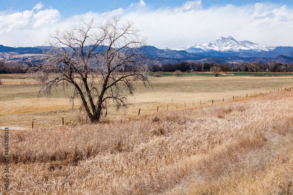 Obraz premium Longs Peak Prairie