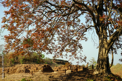 Ancient wall photo