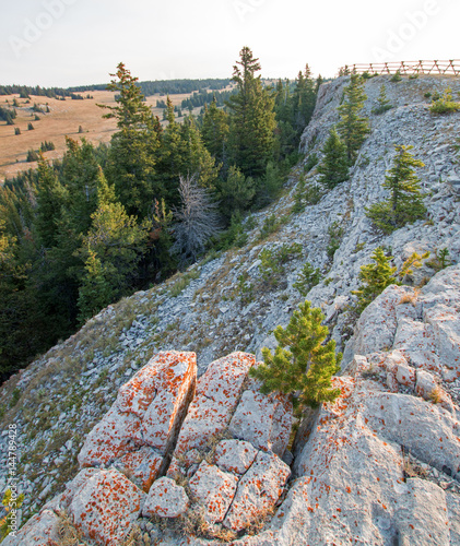 Rody ridge in early morning light above Lost Water Canyon in the Pryor Mountains Wild Horse Range in Wyoming USA photo