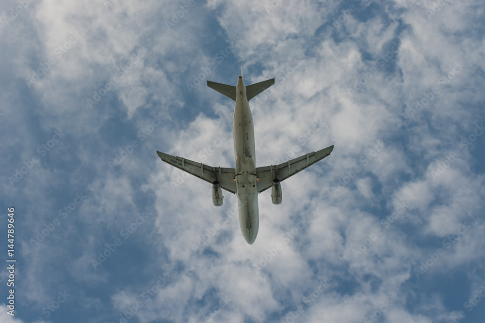 Below view Airplane in the sky and cloud Below view Airplane in the sky and cloud