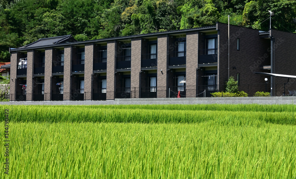 田んぼの中のマンション 田んぼの中のマンション