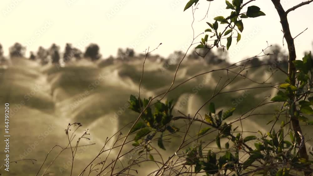 sprinklers focus change- sprinklers focus change-