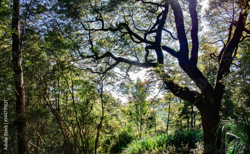 paisaje