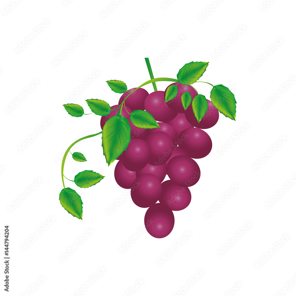white background with bunch of grapes icon vector illustration white background with bunch of grapes icon vector illustration