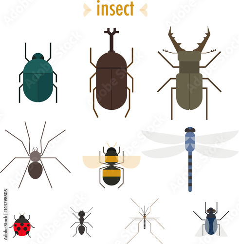 insect simple design flat illustration set