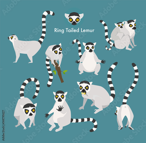 ring tail lemur animal flat design illustration set photo