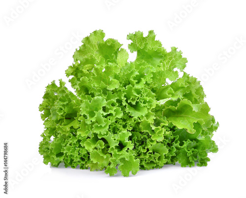 fresh green lettuce salad leaves isolated on white background.