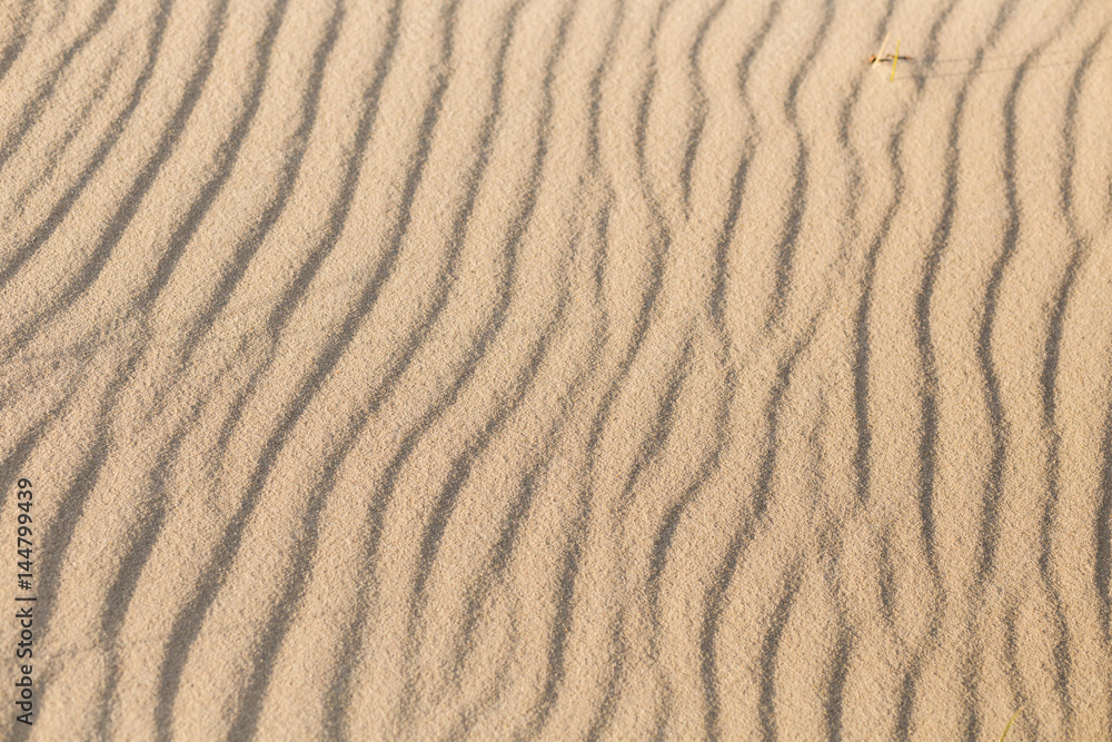 Ripples in the sand on the beach as a background. Ripples in the sand on the beach as a background.