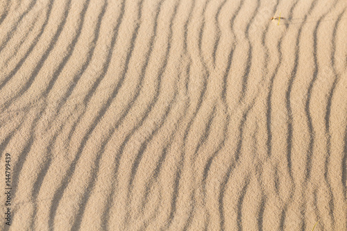 Ripples in the sand on the beach as a background.