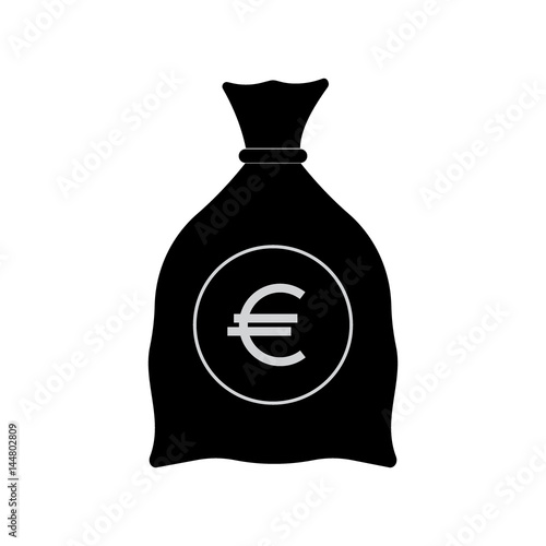 Money Bag with Euro photo